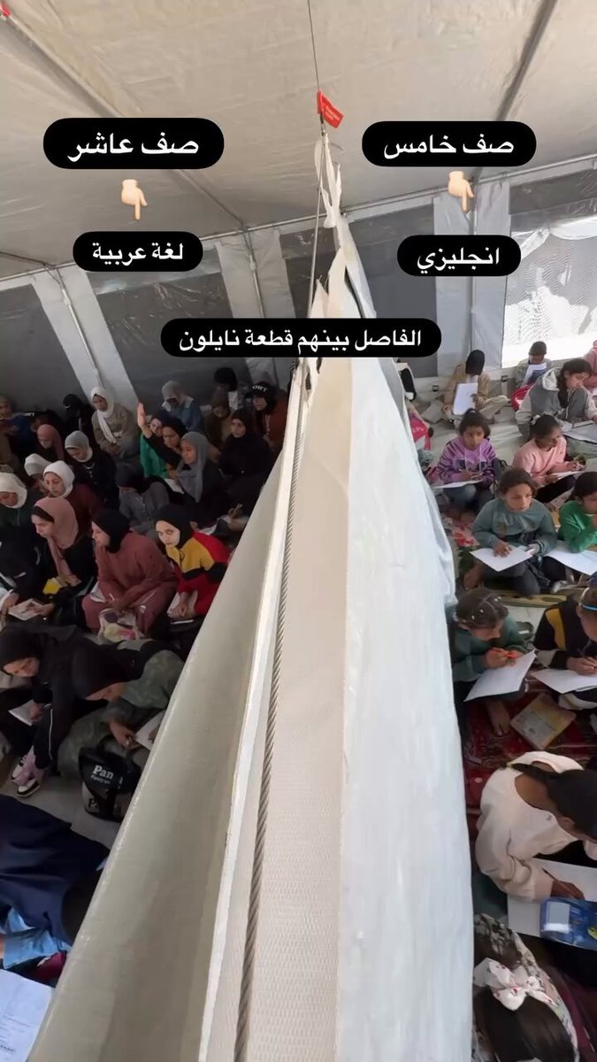 Gaza Students Study in Divided Tents Amid Total School Destruction