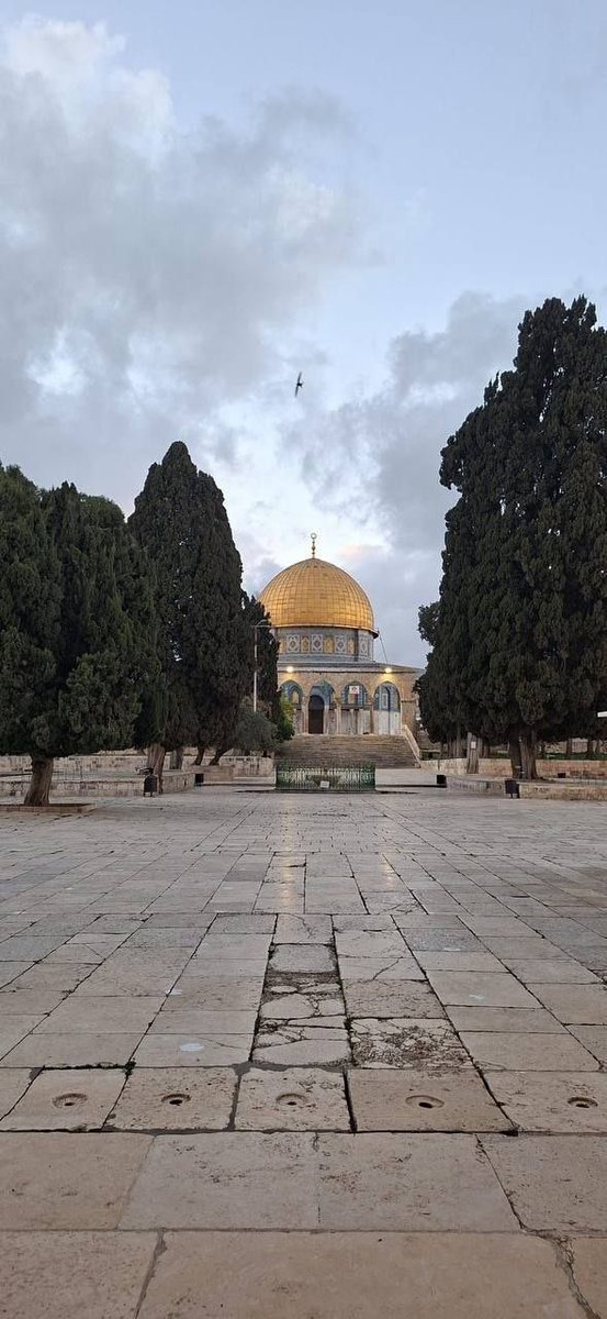 Al-Aqsa Mosque courtyards empty after month-long closure