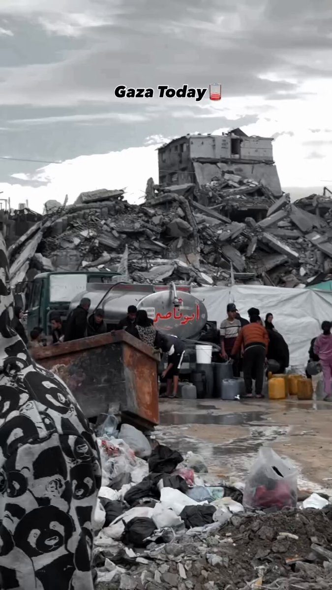 Gaza 2026 Video