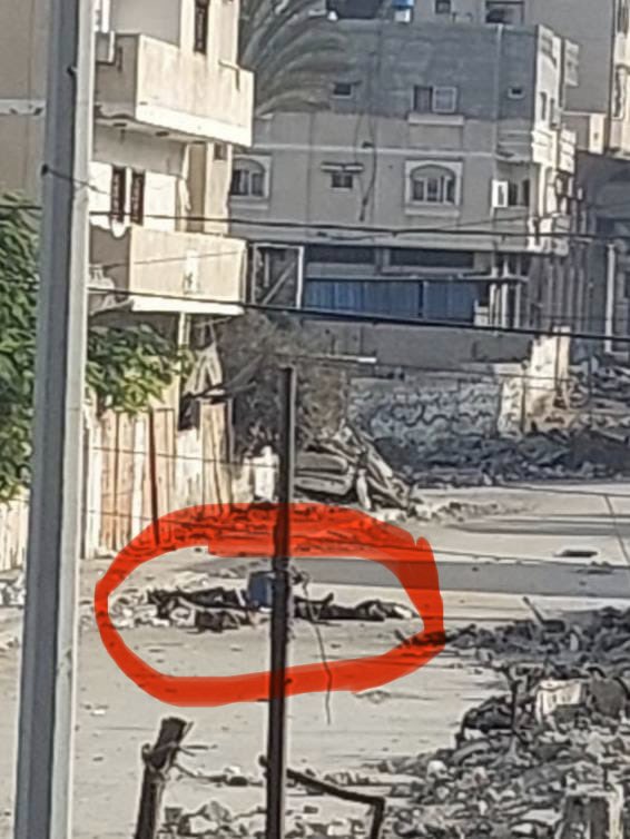 Civilians shot dead retrieving food in Gaza City neighborhood