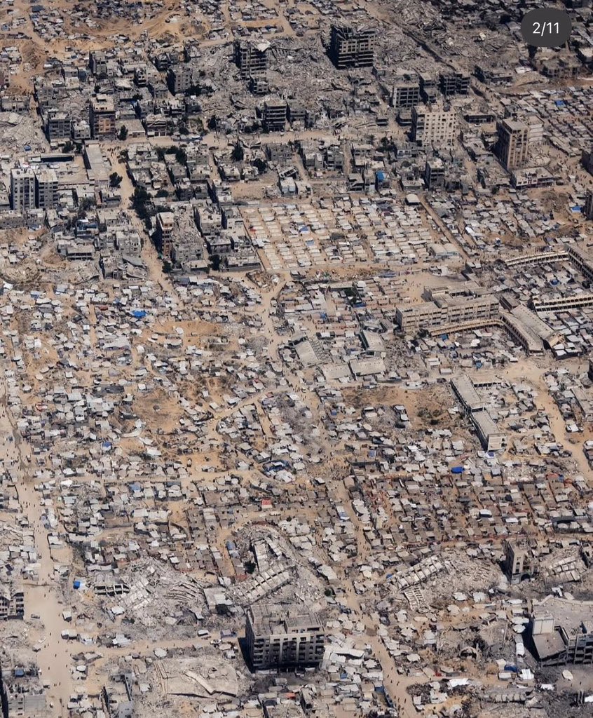 UN Rapporteur Calls for Gaza Ceasefire Implementation and Aid Access