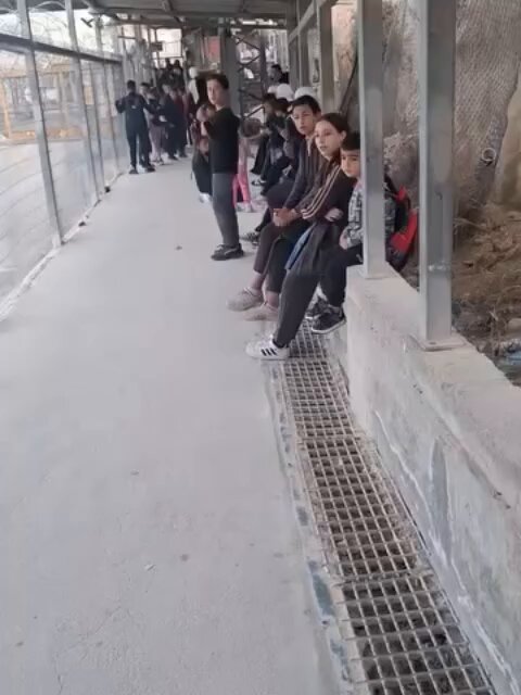 Israeli forces block Palestinian students at Al-Shayyah checkpoint