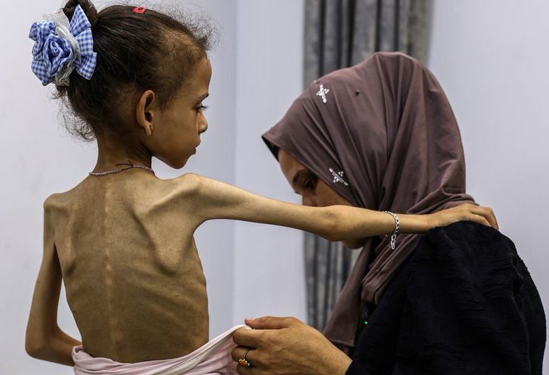 Gaza humanitarian crisis: Demand for food, medicine, and fuel supplies