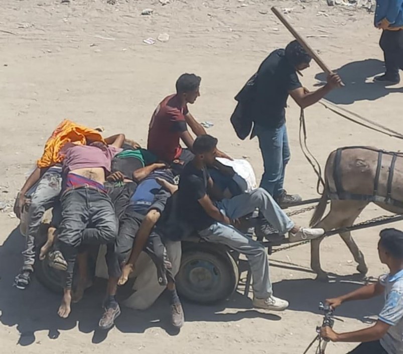 Horrific massacre against aid seekers in Gaza reported