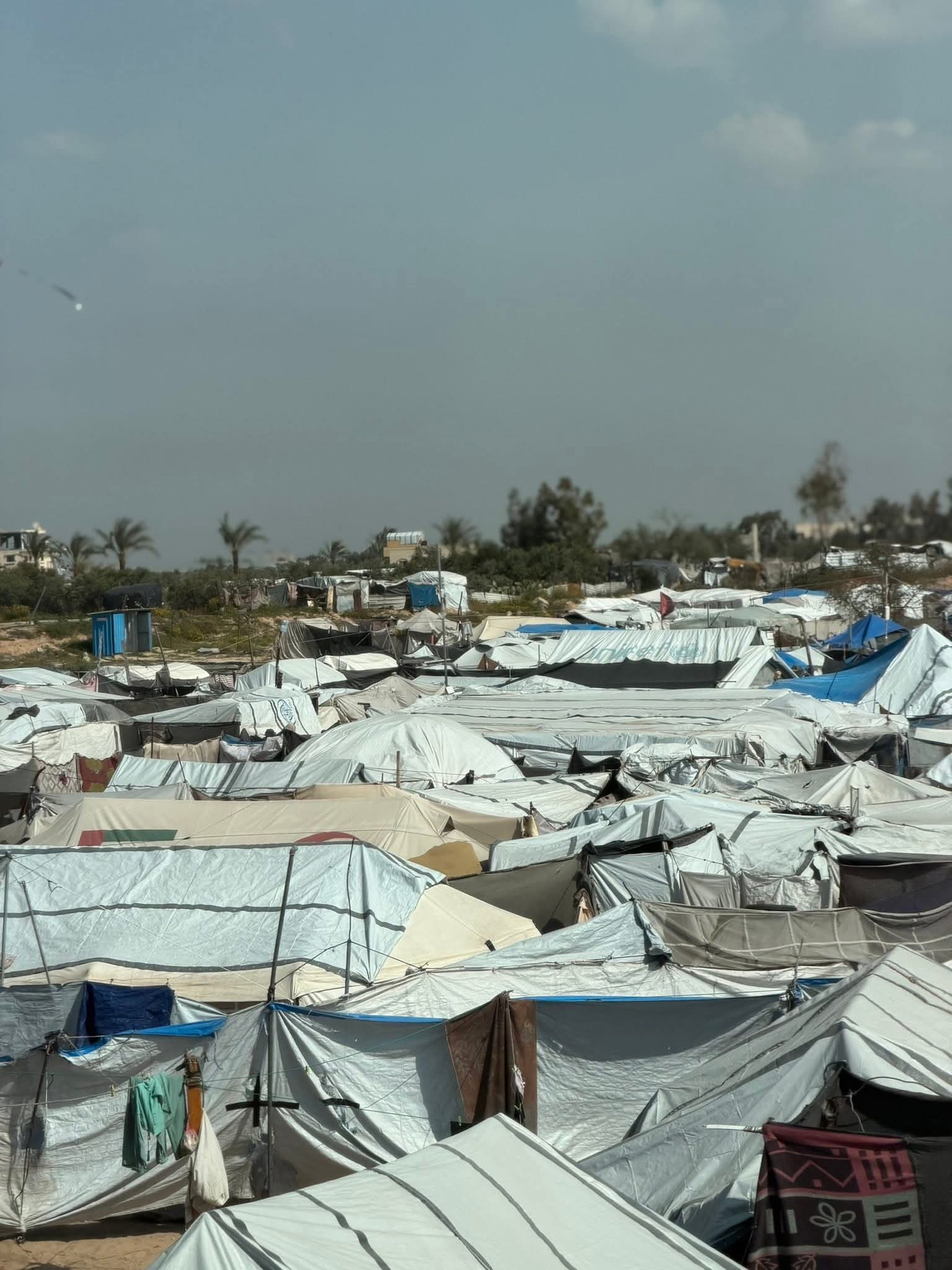 Desperate plea for help amid harsh living conditions