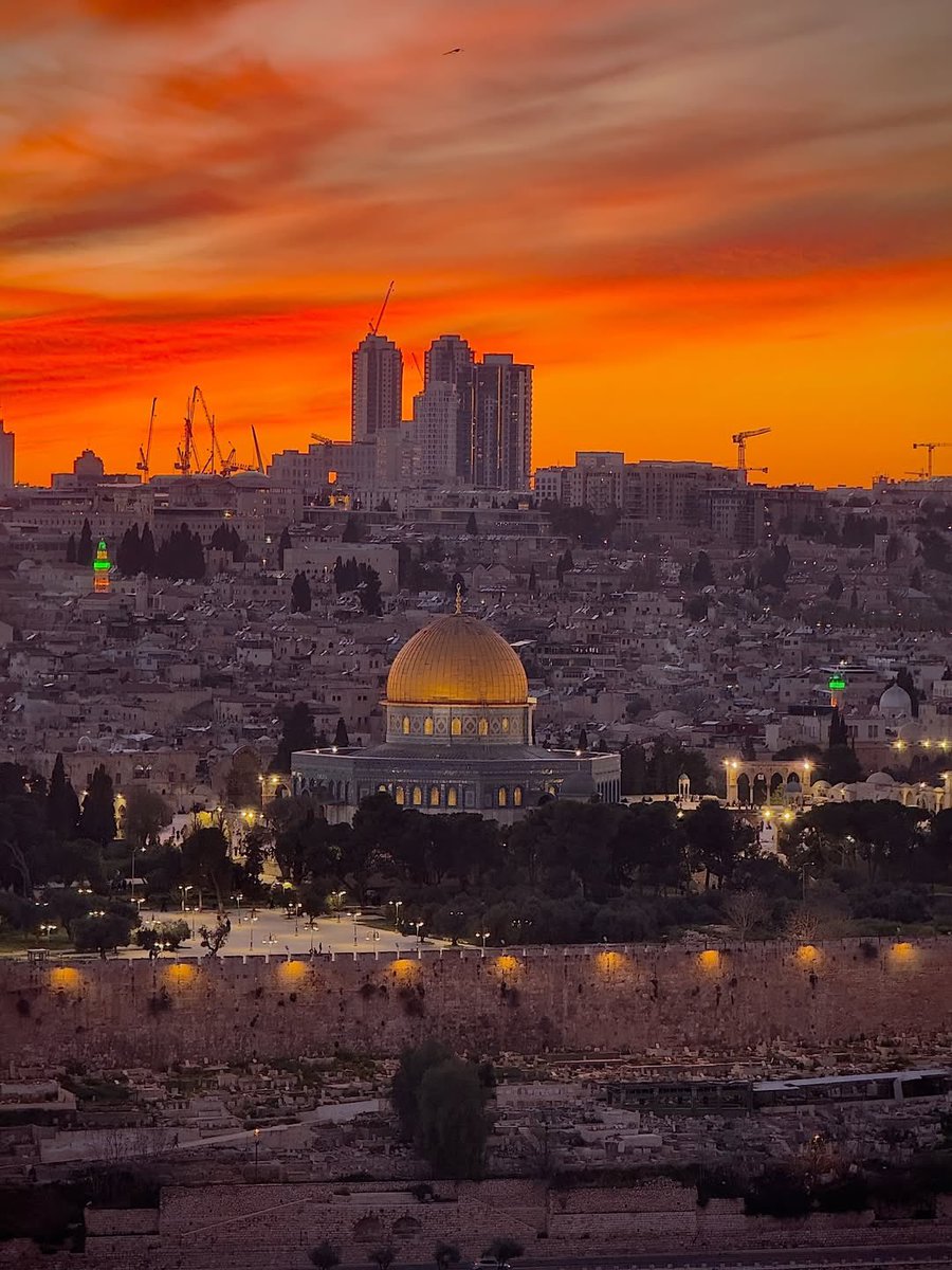 My Homeland, Palestine