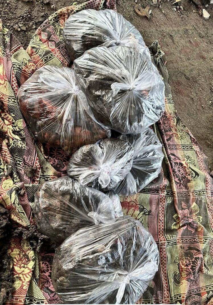 Gaza Tabeen School Massacre: Remains of Martyrs Recovered