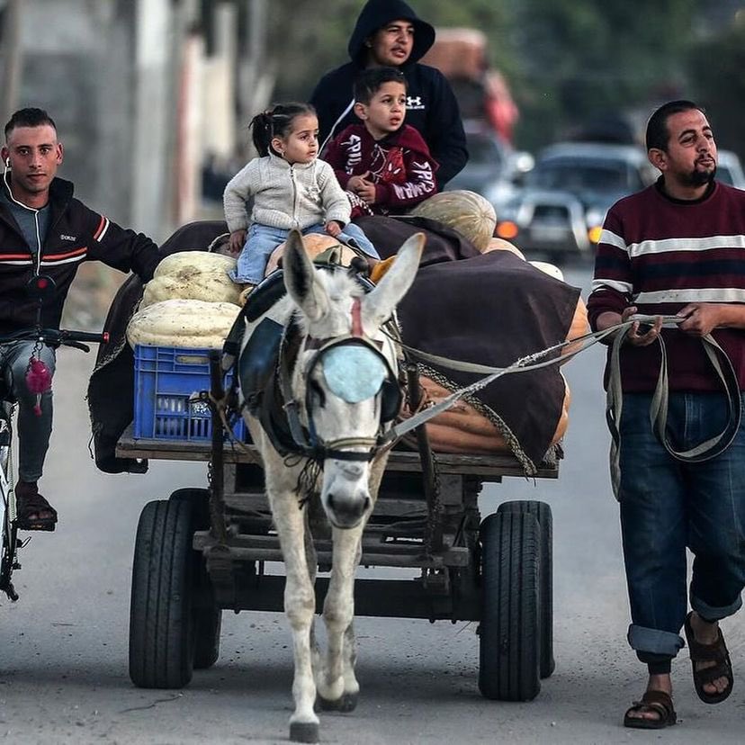 Families flee central Gaza Strip amid ongoing Israeli bombardment