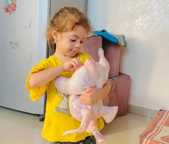 Gaza family sees first chicken in 11 months of war