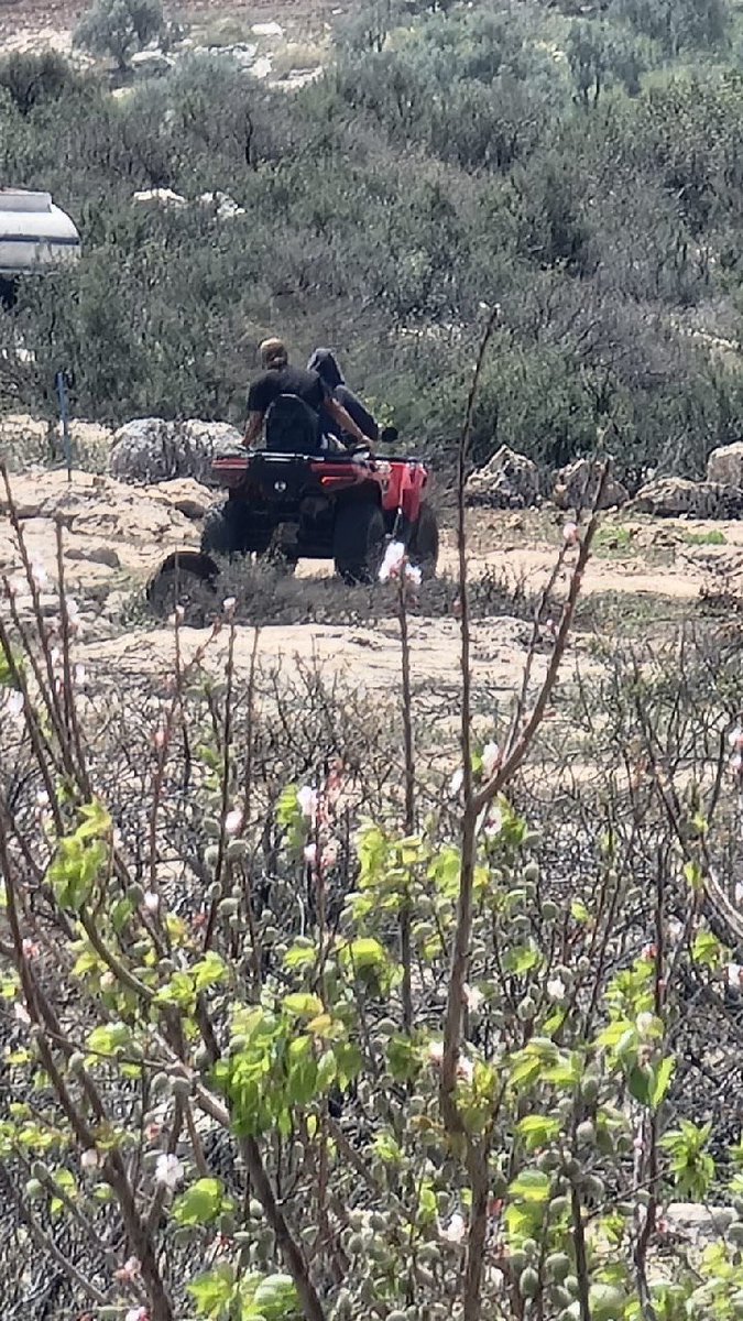 Israeli settlers rampage through Tayasir village in West Bank