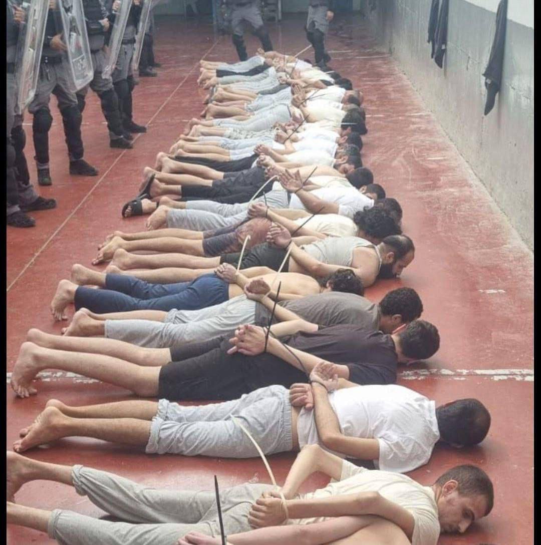 Israeli Prison Service considers dog torture of Palestinian prisoners routine