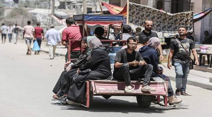Donkey and mule carts transport residents in Deir al-Balah