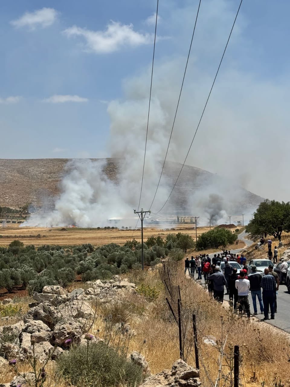 Israeli Forces Enable Settlers to Burn Palestinian Wheat Fields