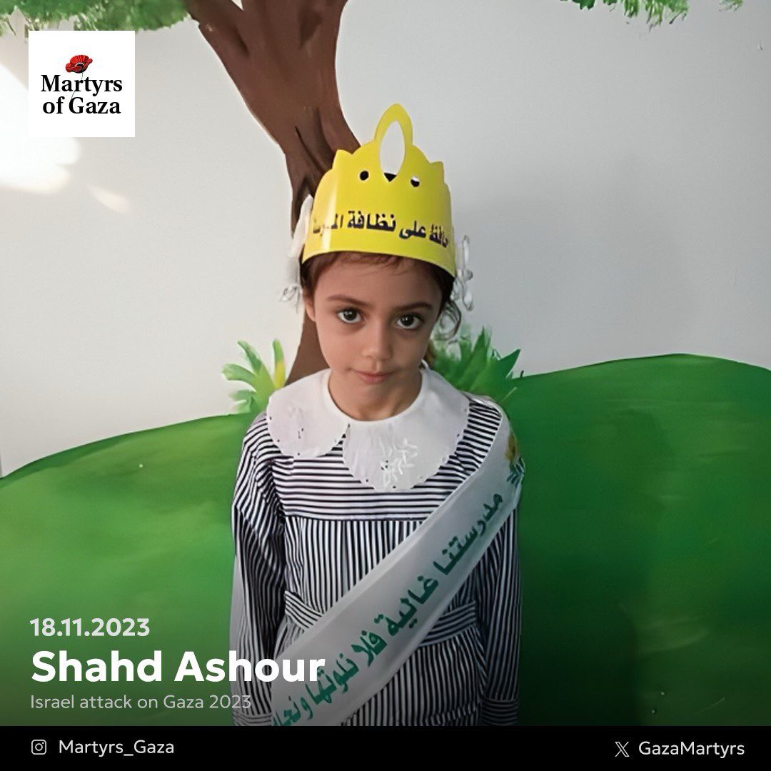 Shahd Ashour testimony: Gaza civilian casualty account