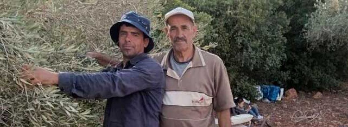 International Community Urged to Stop Forcible Transfer West Bank