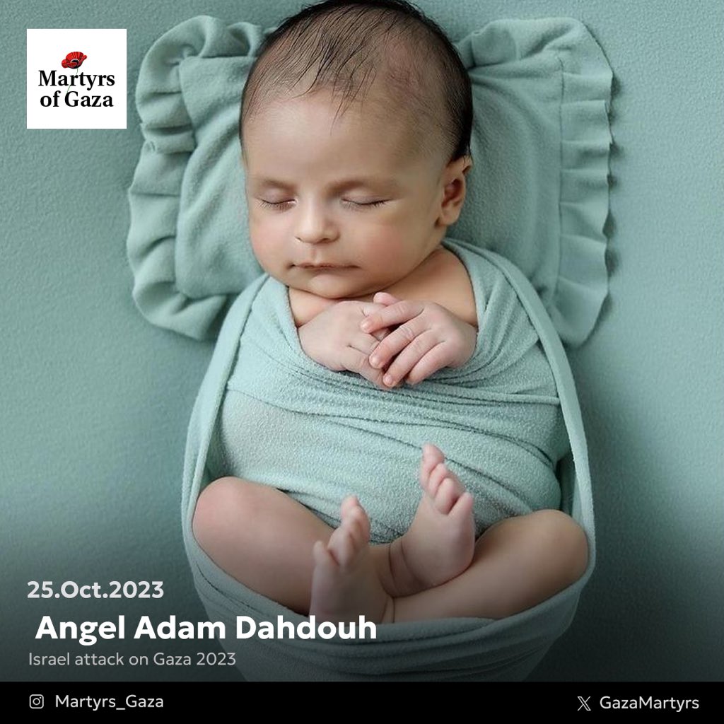 Death of Adam Dahdouh, Grandson of Journalist Wael Dahdouh