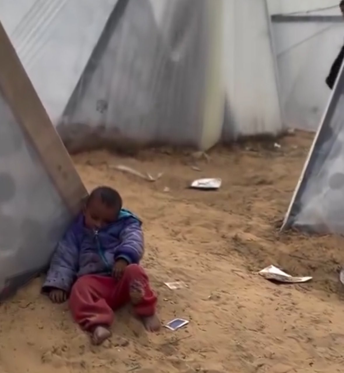 Children in Gaza: 10 Weeks of Devastation and Loss