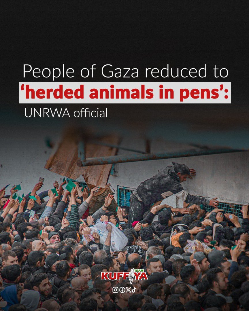 UNRWA Director Condemns Killings at Gaza Aid Distribution Points
