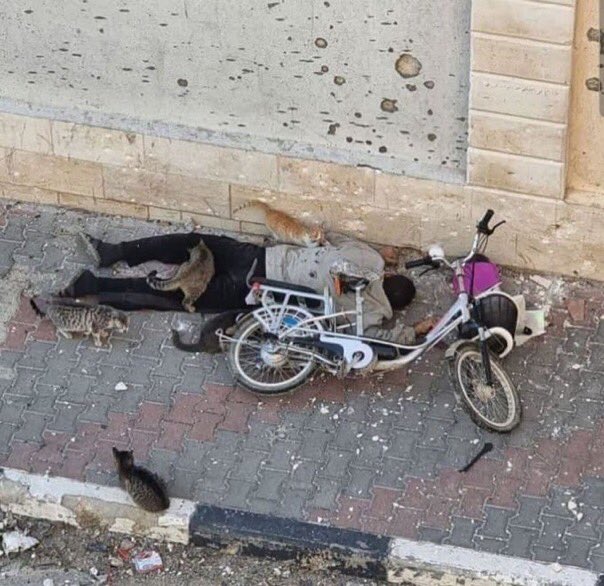 Man killed by Israeli strike while seeking food in Gaza