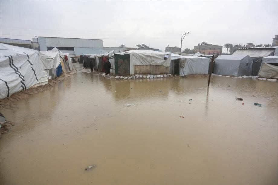 Families Need Real Homes Not Temporary Tent Solutions