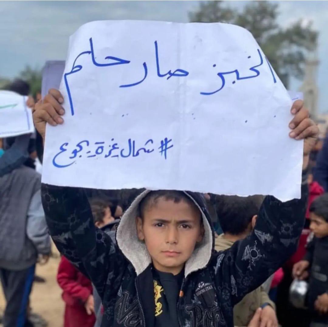 Bread as Dream: Food Scarcity in Northern Gaza