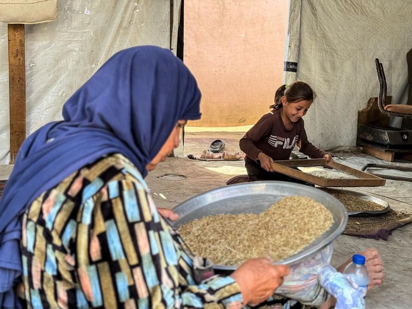Displaced Family in Gaza Faces Famine and Tent Living
