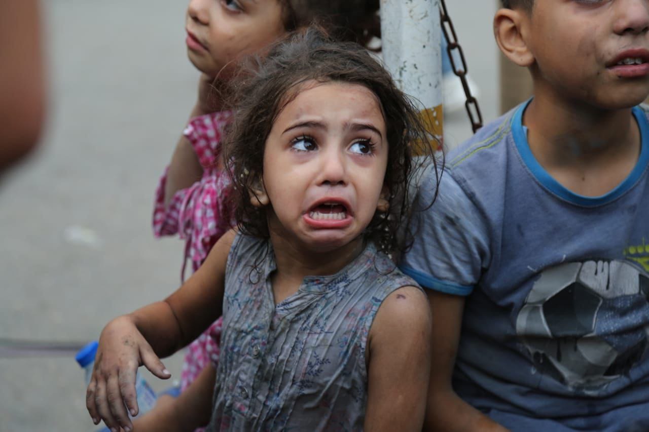 Palestinian Casualties in Gaza Strip Reported