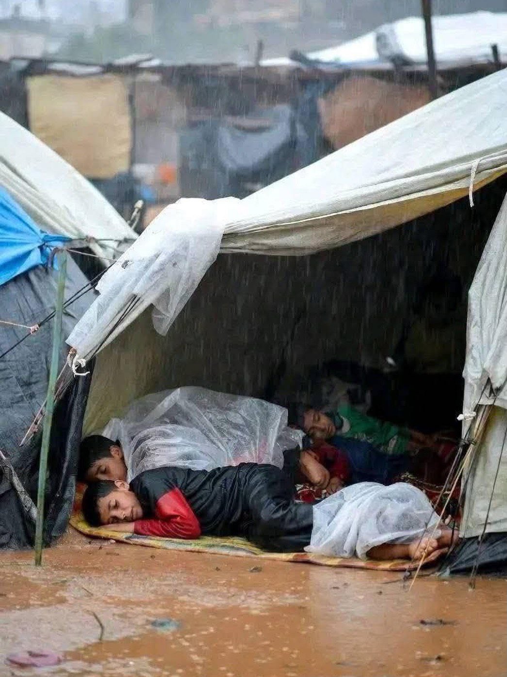 Gaza’s Children Face Harsh Weather Without Shelter