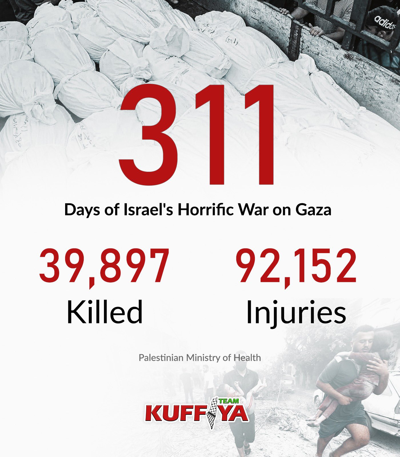 Israel’s Genocide in Gaza: 311 Days of Mass Casualties
