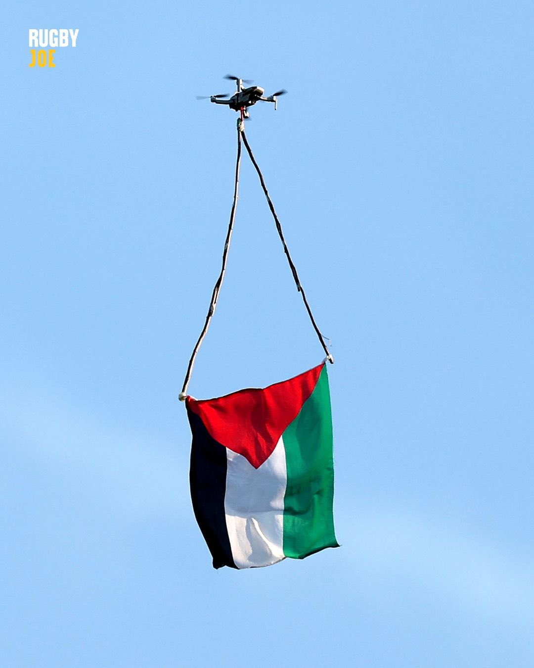 Palestine Action disrupts England-Italy rugby match over Allianz-Elbit ties
