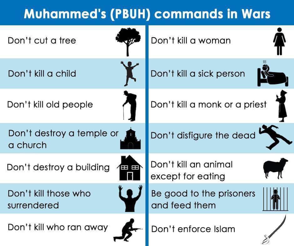 Criticism of Israeli military conduct and moral standards