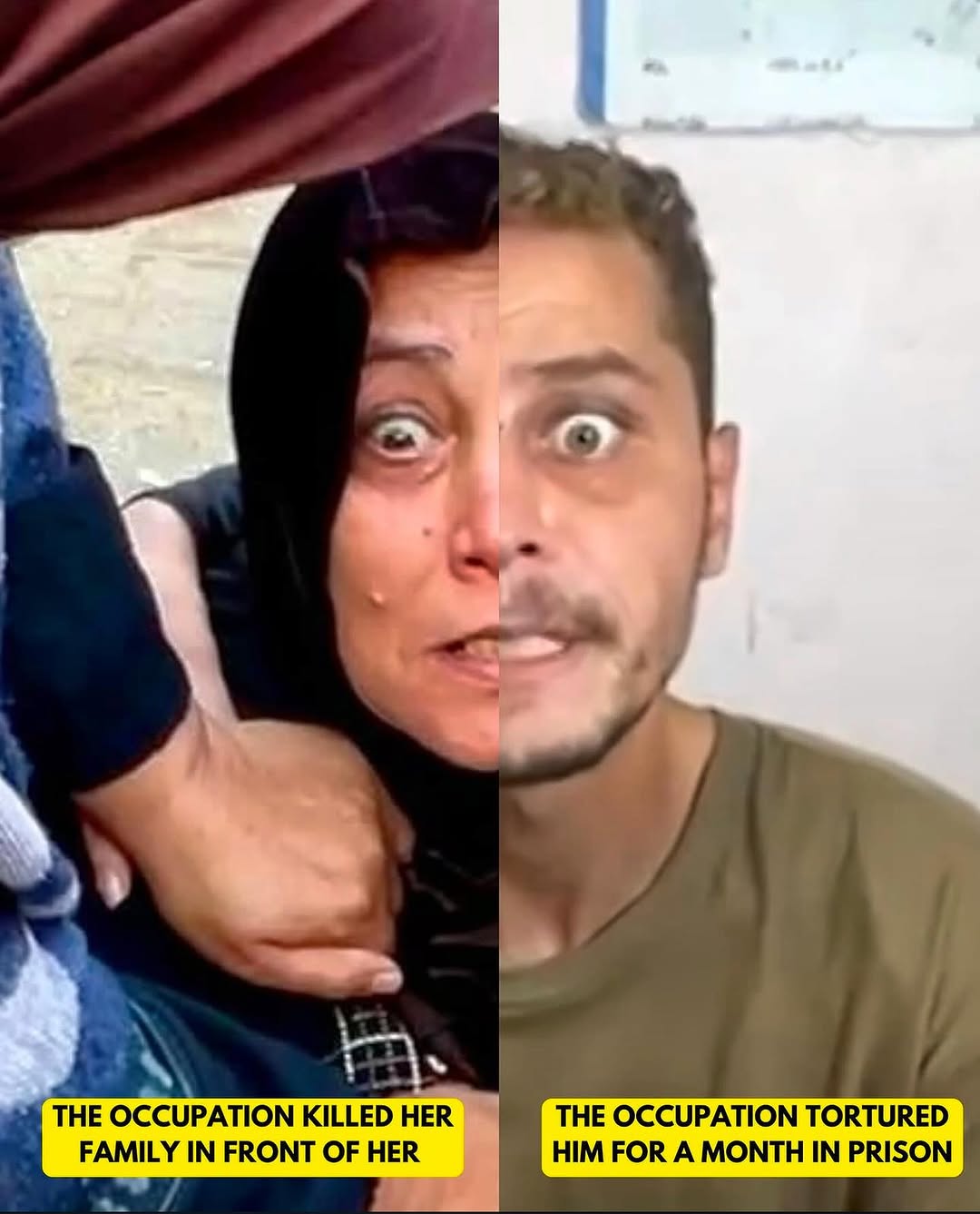 Gaza War Trauma and Palestinian Psychological Impact