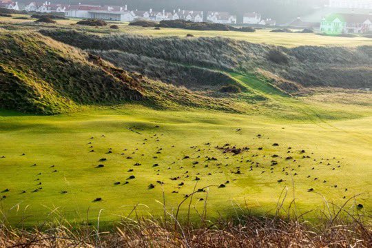 Palestine Activists Damage Trump’s Scottish Golf Course