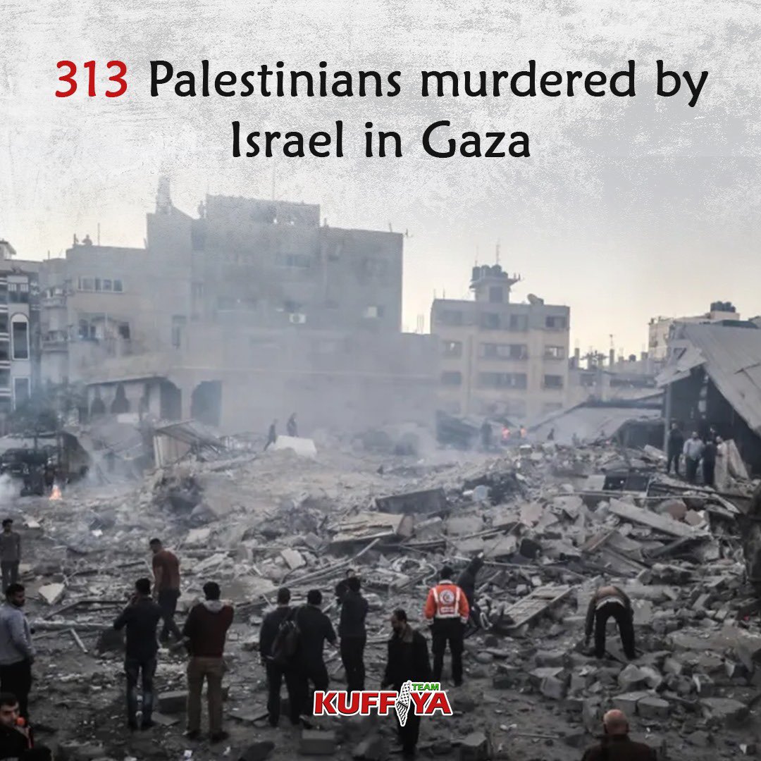 Gaza casualty report: 313 Palestinians killed, 1990 injured