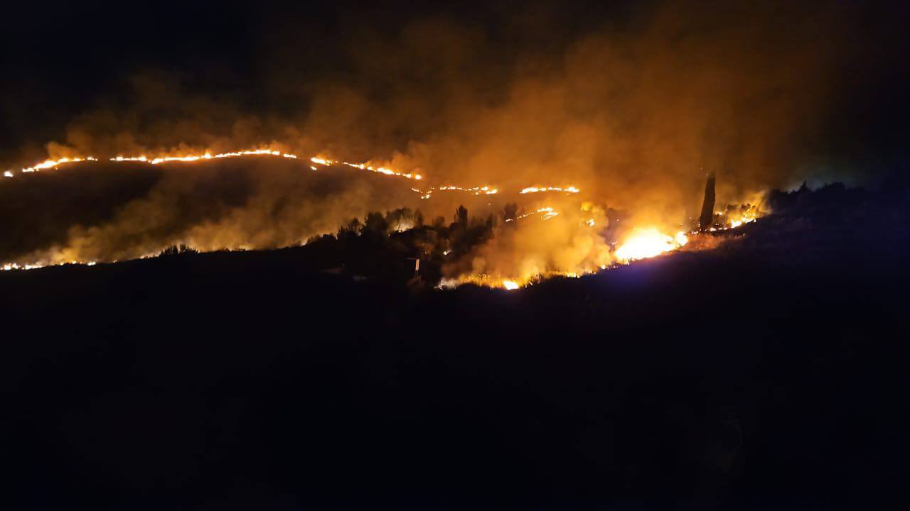 Israel’s white phosphorus use destroys Lebanon forests ecosystem
