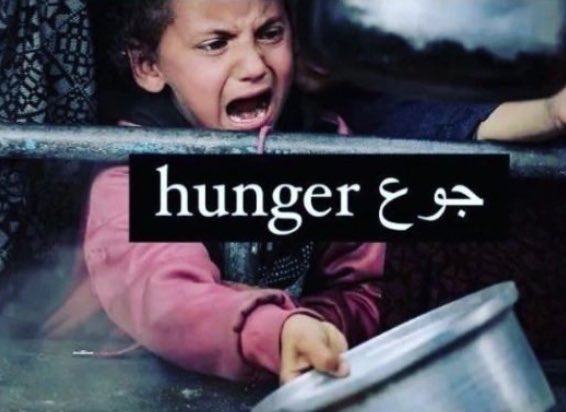 Starvation Deaths in Gaza Raise Genocide Concerns