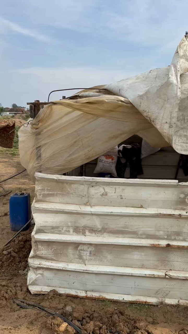 Heavy rains in Gaza: Family tent reinforced against cold