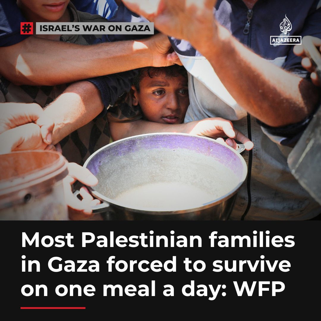 WFP Food Insecurity Estimates Understate Ground Reality