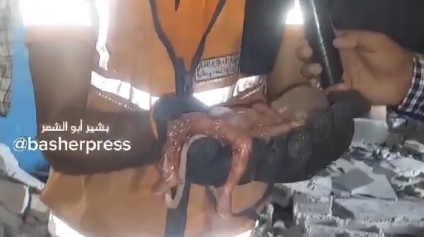 Israeli bombing kills 20+ at Gaza school shelter