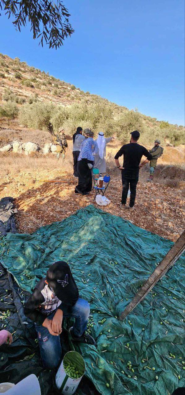 Israeli forces harass Palestinian family picking olives near Nablus