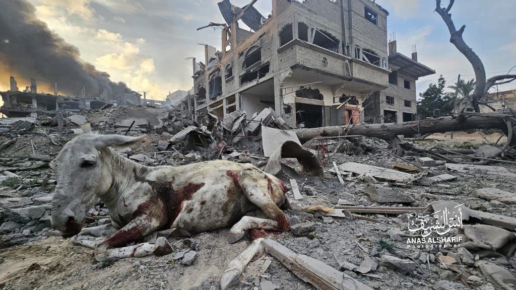 Mass destruction in Jabalia after Israeli air attacks