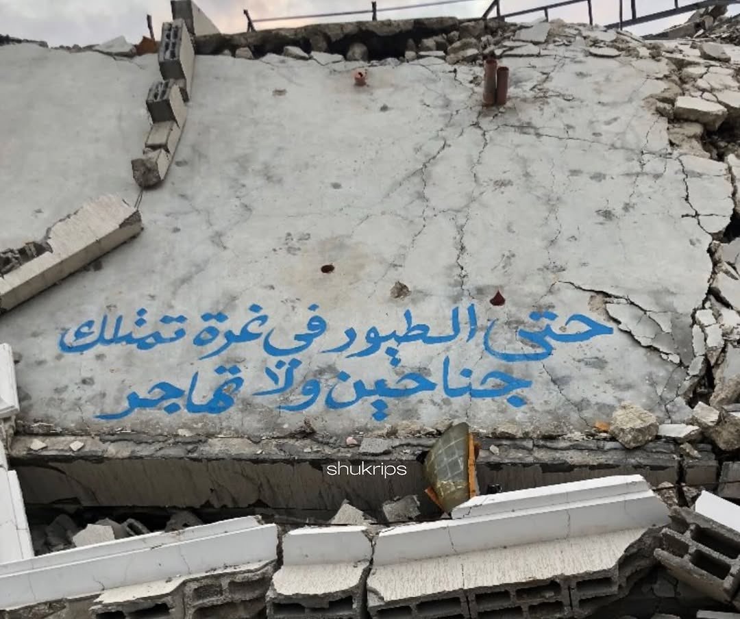 Birds of Gaza: Wings Without Migration