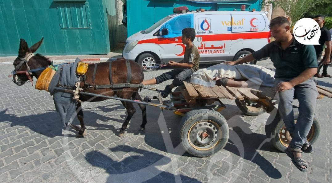Palestinian locals use carriages to transport bodies amid airstrikes