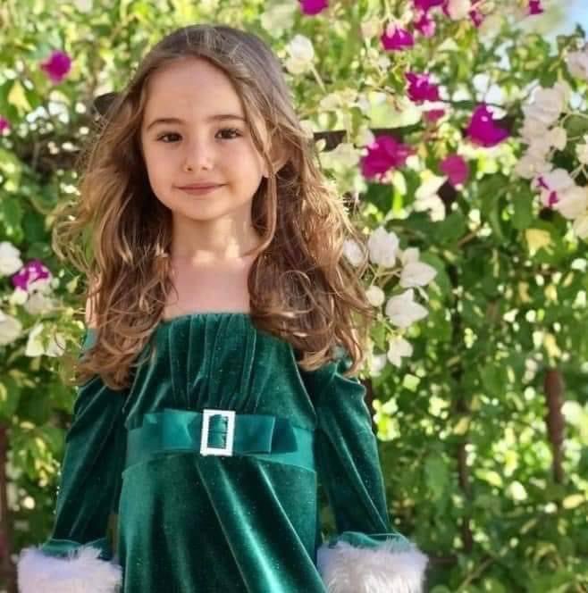 Seven-year-old girl killed in South Lebanon