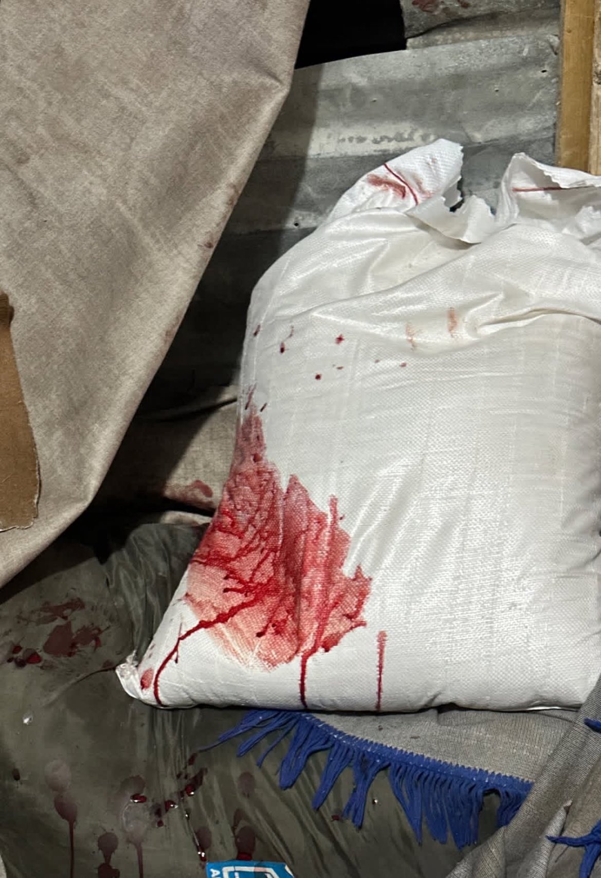 Israeli forces open fire on Palestinians at aid distribution points