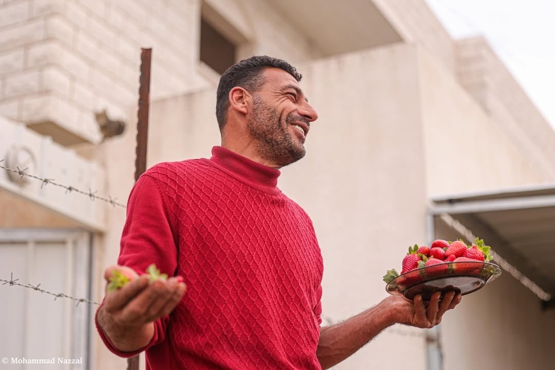 Organic Strawberries Gaza Agriculture and Occupation Impact