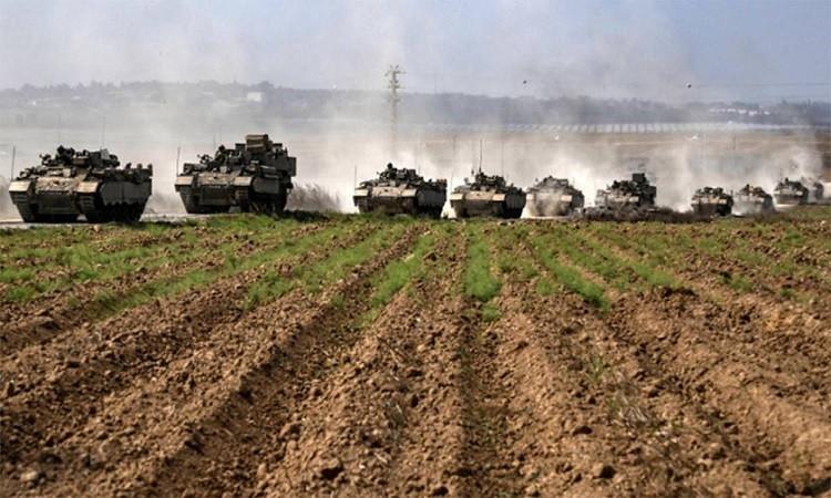 Gaza’s Agricultural Land Destruction Threatens Food System Collapse