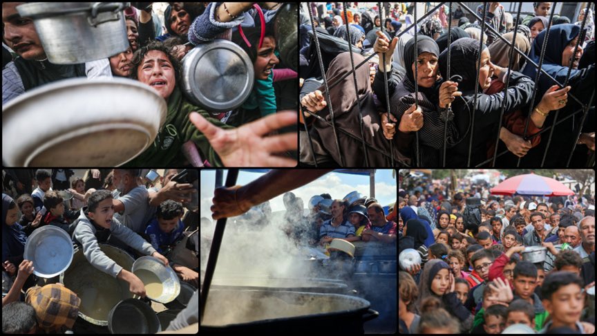 Israel halts humanitarian aid to Gaza, famine begins