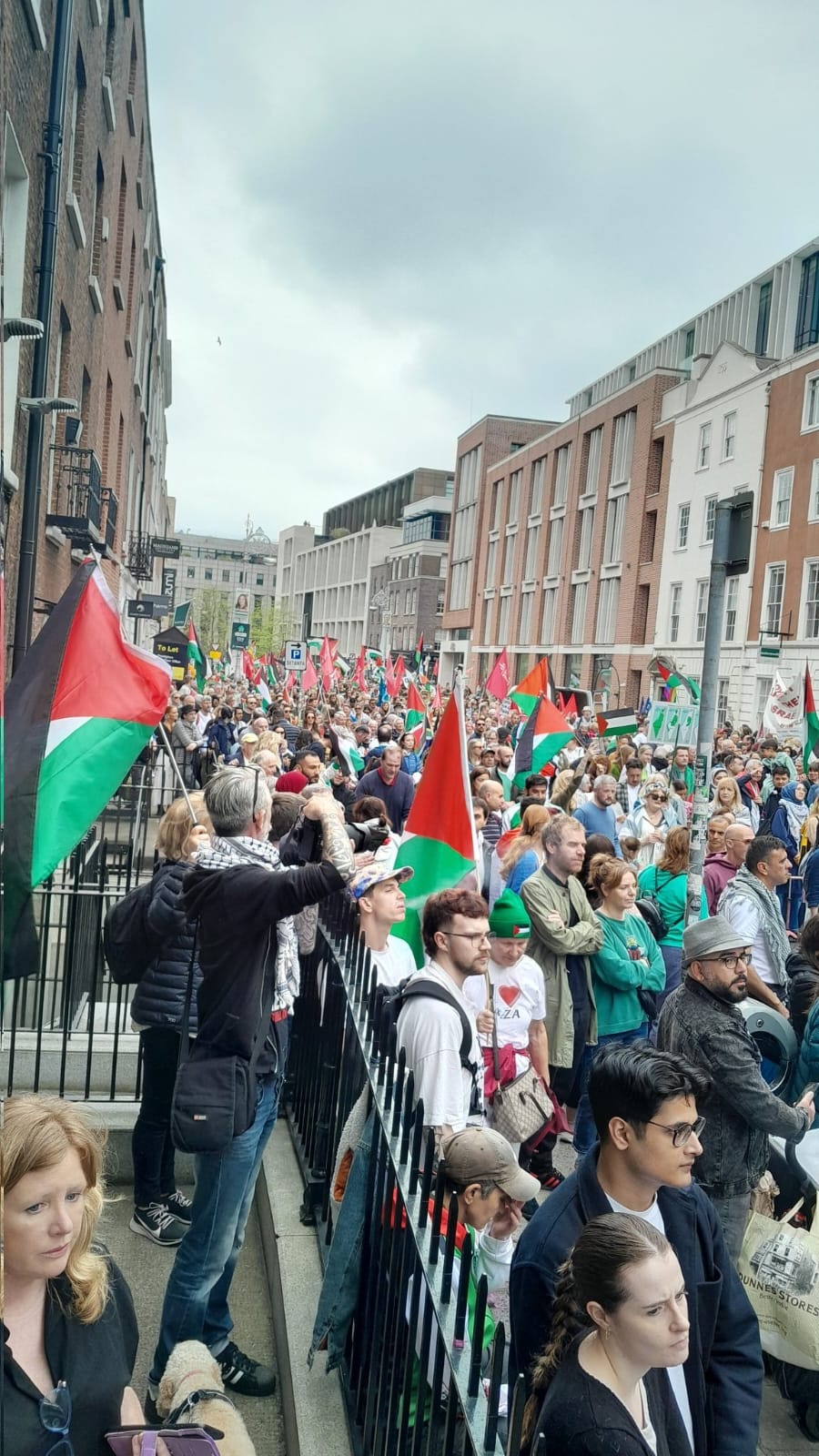 Mass Protest in Dublin Supporting Palestine