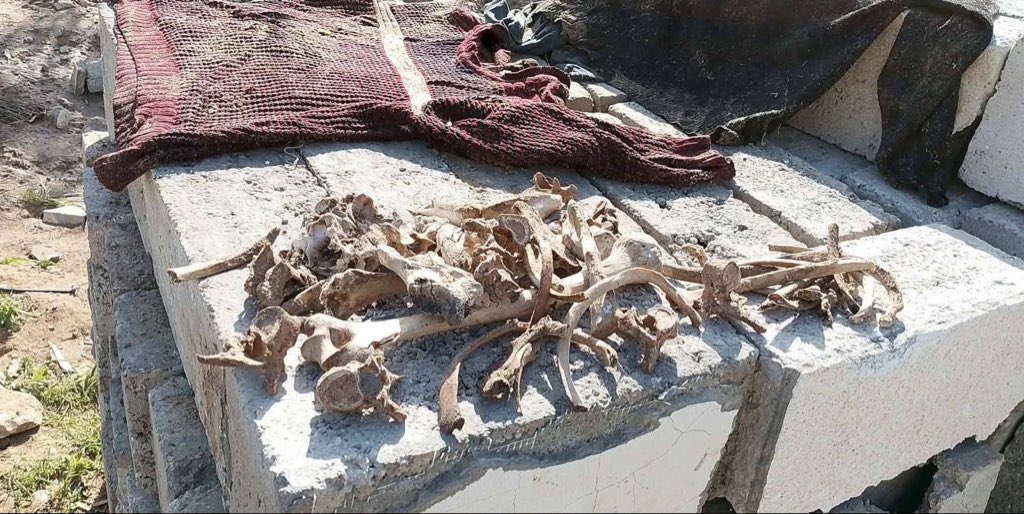 Palestinian Body Found in Gaza Strip